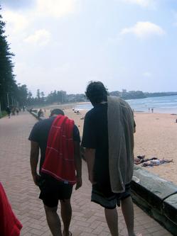 confluence-manly-esplanade.jpg