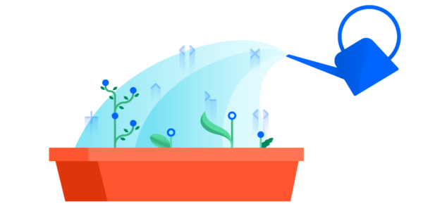 Watering can showering little plants