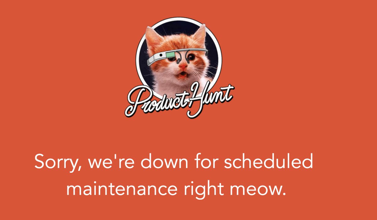Product Hunt logo with photo of a cat and the caption "Sorry, we're down for scheduled maintenance right meow". Screen capture.