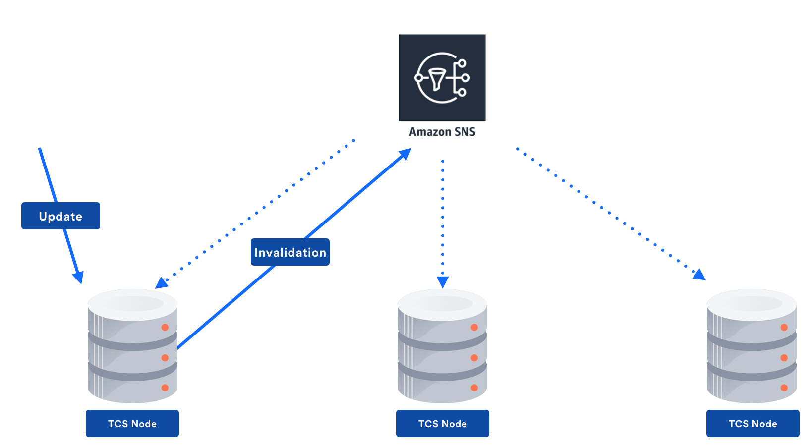 Multi-node Amazon SNS architecture
