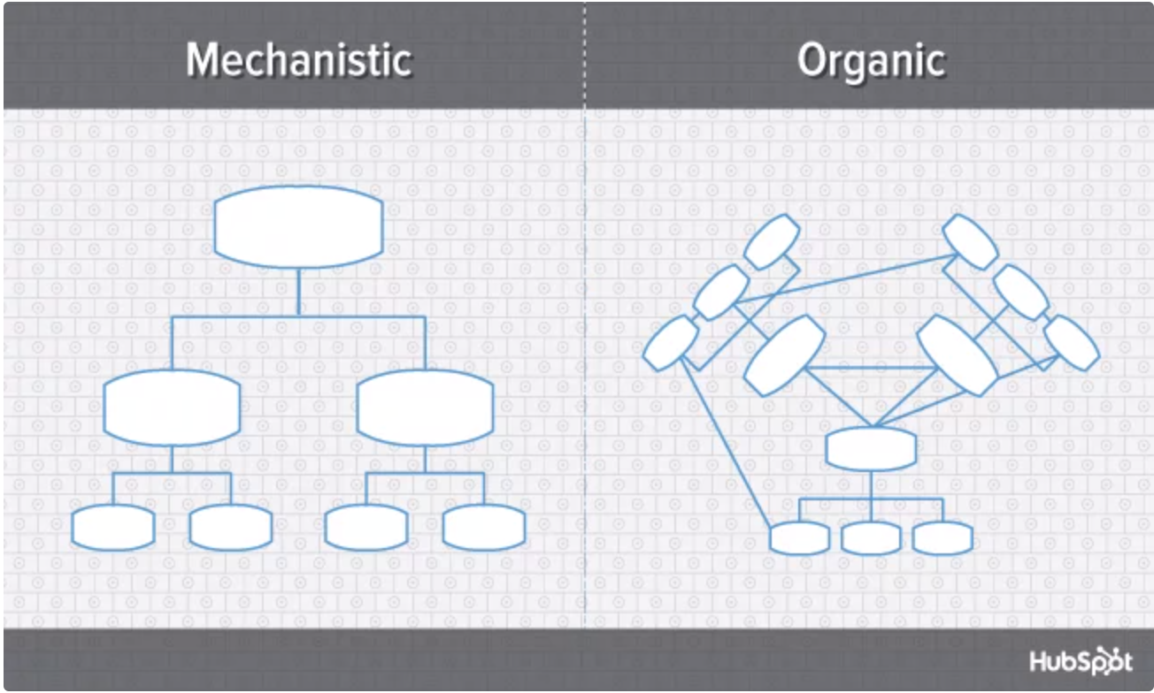 org chart reporting lines