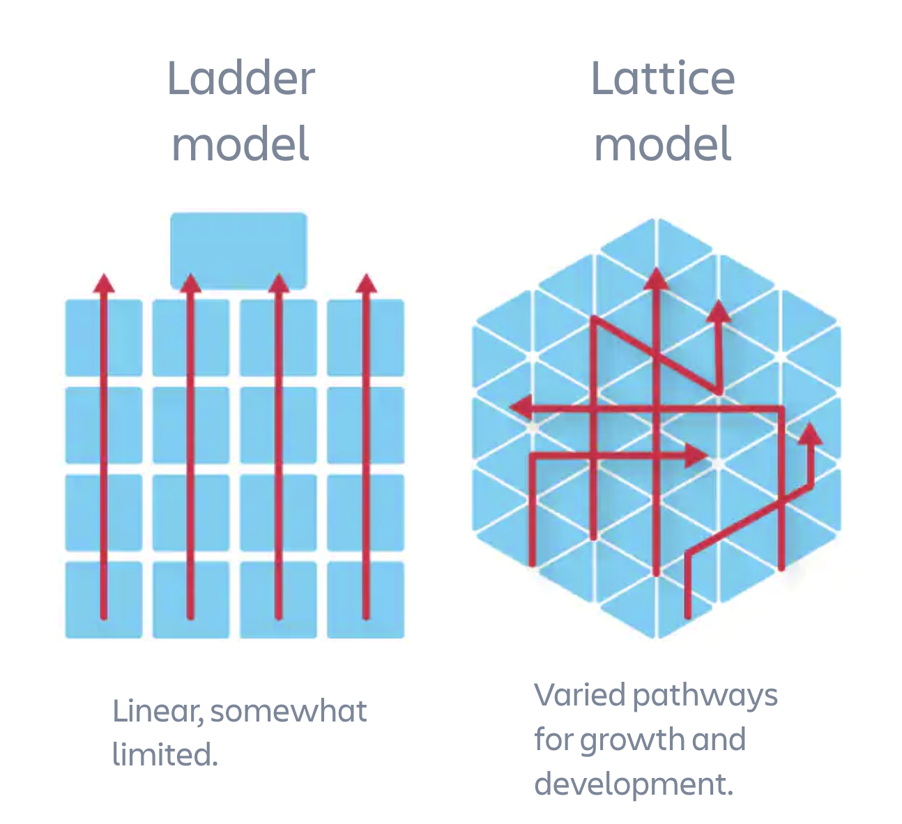 Illustrations of the "ladder" and "lattice" career path models