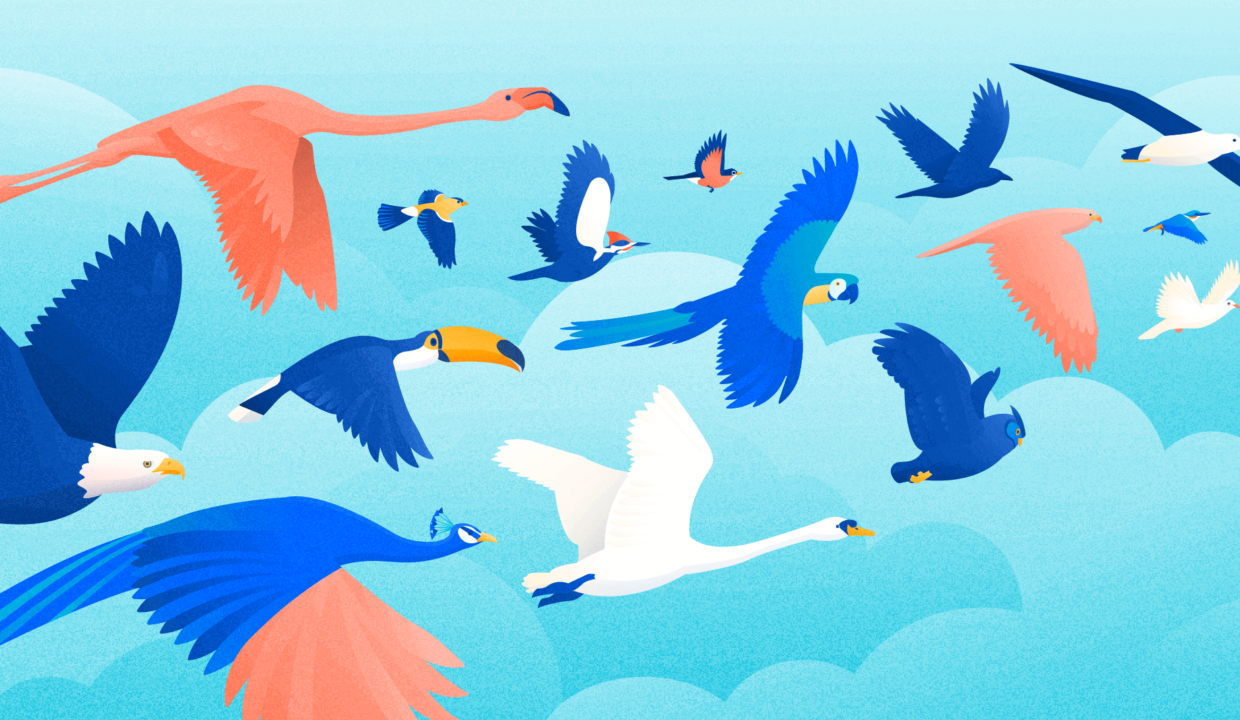 A flock of disparate birds, signifying the 16 Myers Briggs personality types