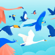 A flock of disparate birds, signifying the 16 Myers Briggs personality types