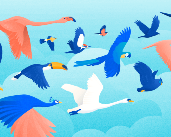 A flock of disparate birds, signifying the 16 Myers Briggs personality types