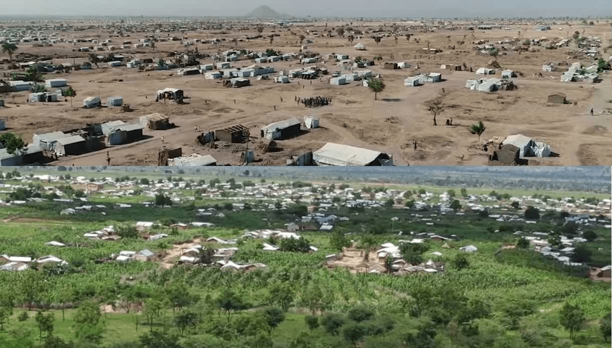 Side-by-side photo of the Minawao refugee camp, before and after a reforestation project. 