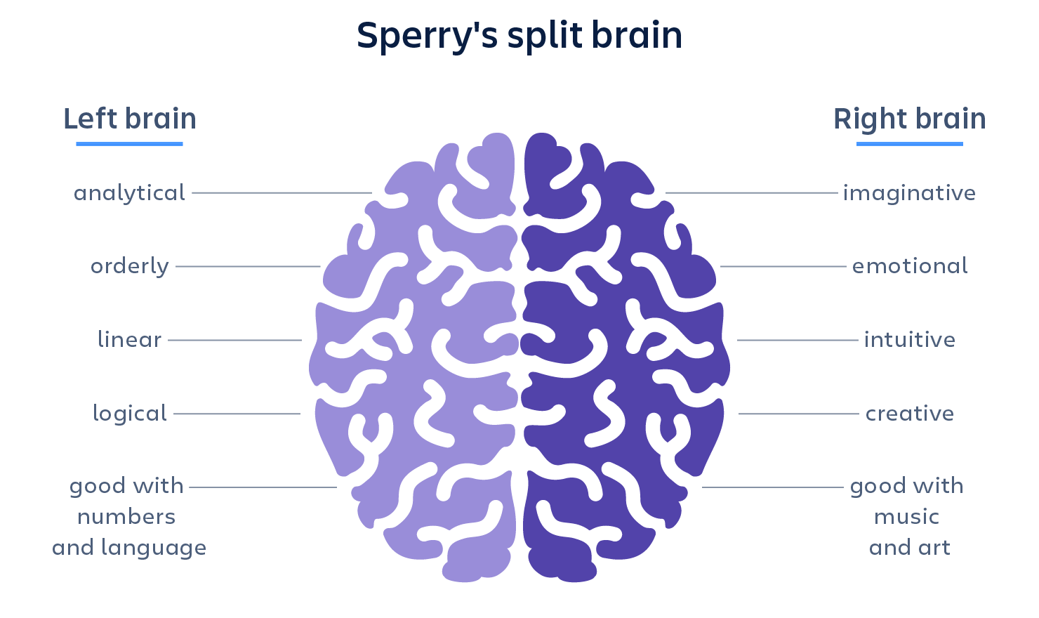 Sperry's split brain