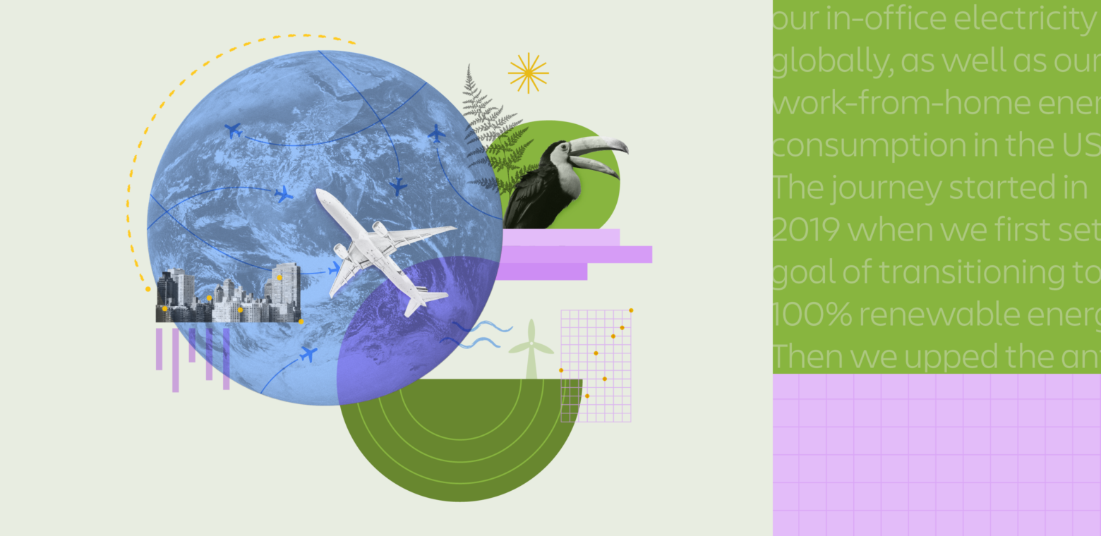 Collage of images related to sustainability – animals, airplanes, the earth