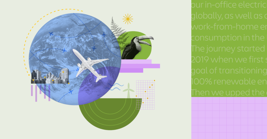 Collage of images related to sustainability – animals, airplanes, the earth