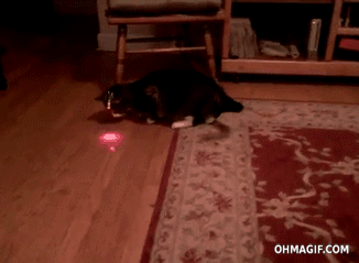 cat-laser-2