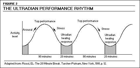 Daily energy cycles