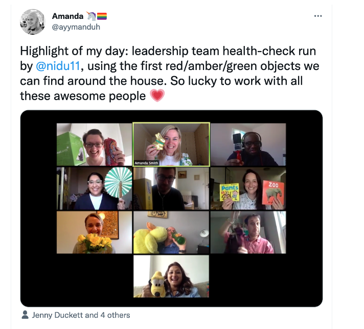 Screenshot from Twitter, showing people voting over Zoom by holding red, yellow, and green objects.