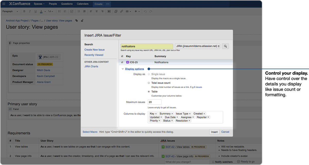 Jira Issue Confluence - display options jira issue dialogue