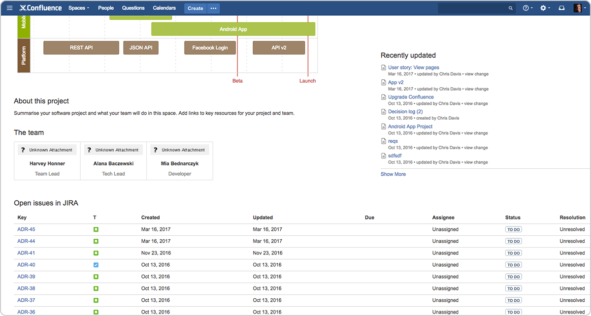 Jira Issue Confluence - single source of truth for all jira issues