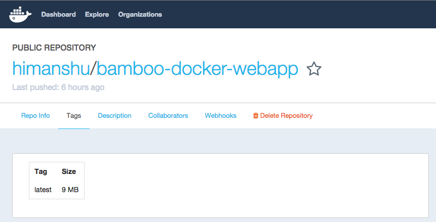Bamboo, Docker, and building web apps